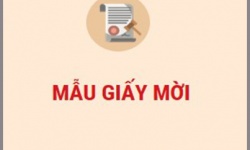 Mẫu giấy cam kết bảo lãnh và giấy mời xin visa Đức